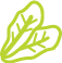 icon-Mixed green lettuce