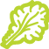 icon-Green Oak Leaf lettuce